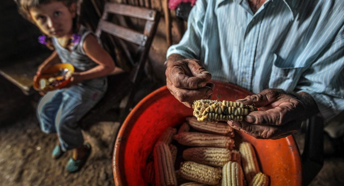 La seguridad alimentaria de Nicaragua está en riesgo