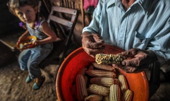 La seguridad alimentaria de Nicaragua está en riesgo