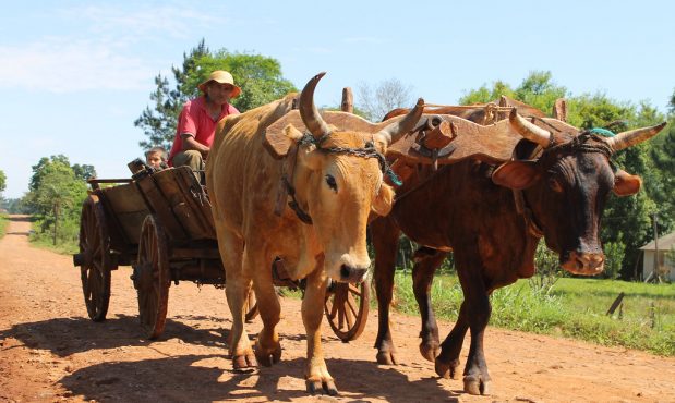 Sigamos la ruta de los pactos buenos